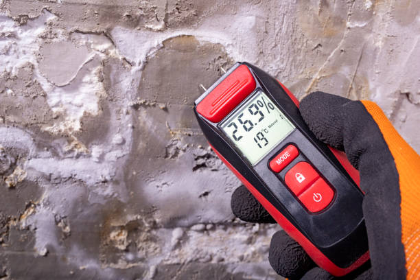 Best Toxic Mold Removal  in Kensett, AR