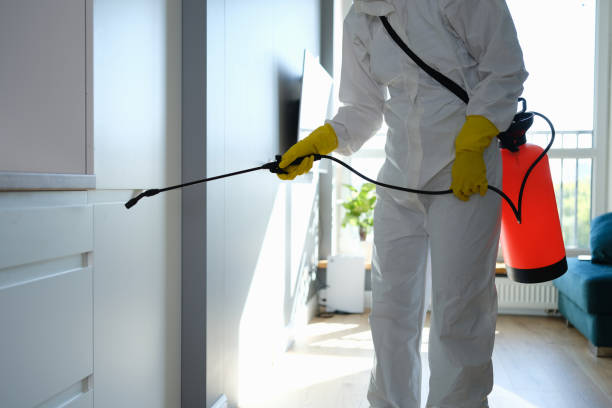 Best Mold Cleaning Services  in Kensett, AR