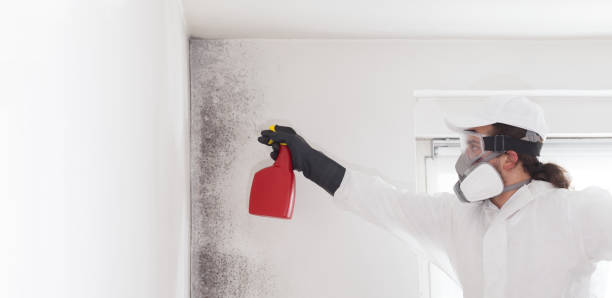 Best Emergency Mold Removal  in Kensett, AR
