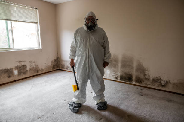 Best Emergency Mold Removal  in Kensett, AR